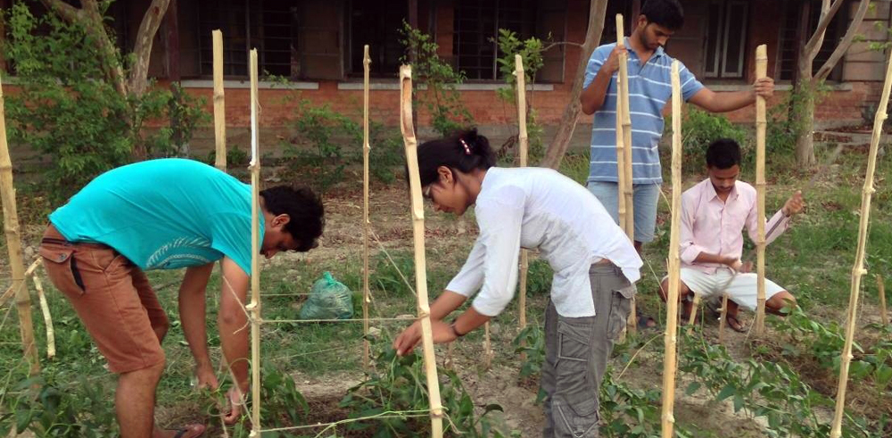 गाउँमै स्वरोजगार बन्दै दुर्गमका युवा