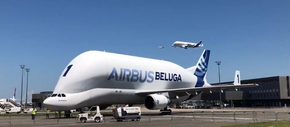 एयरबसले उडायाे बेलुगा ह्वेल आकारको विमान