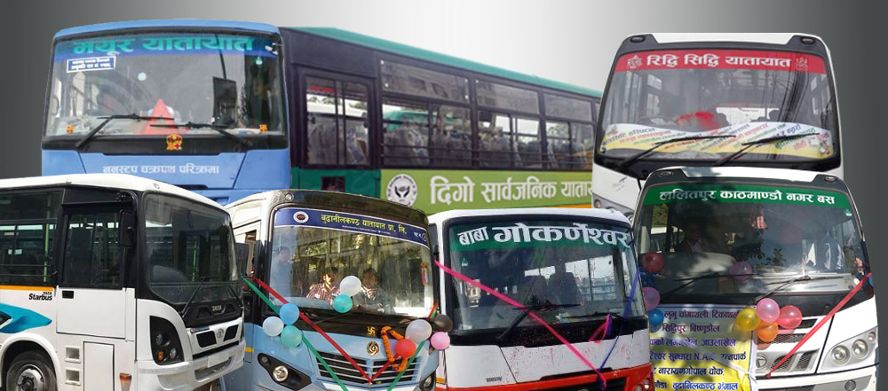 नयाँ यातायात कम्पनीमार्फत सवारी भित्र्याउने लहर