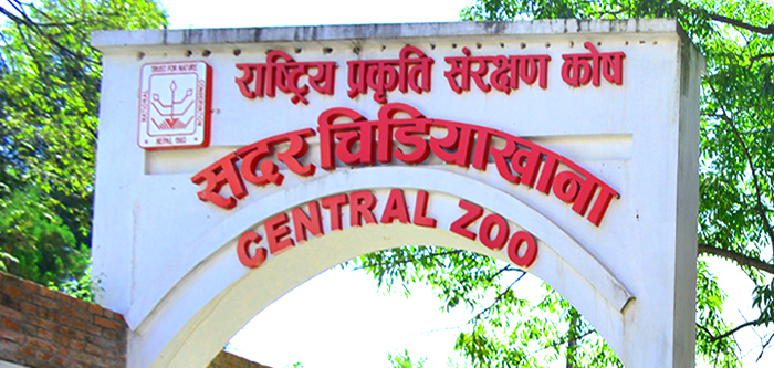 आधुनिक बन्दै जाउलाखेलको सदर चिडियाखाना